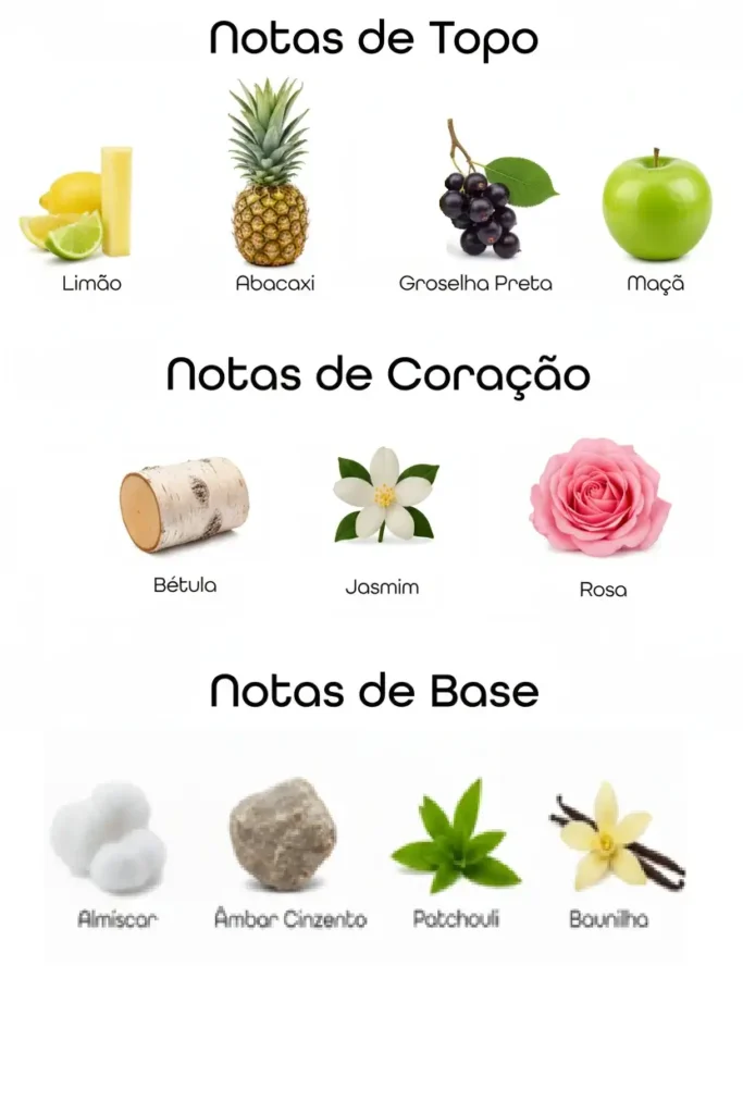 Notas de topo, coração e base com limão, abacaxi, groselha preta, maçã, bétula, jasmim, rosa e elementos amadeirados representando fragrância sofisticada