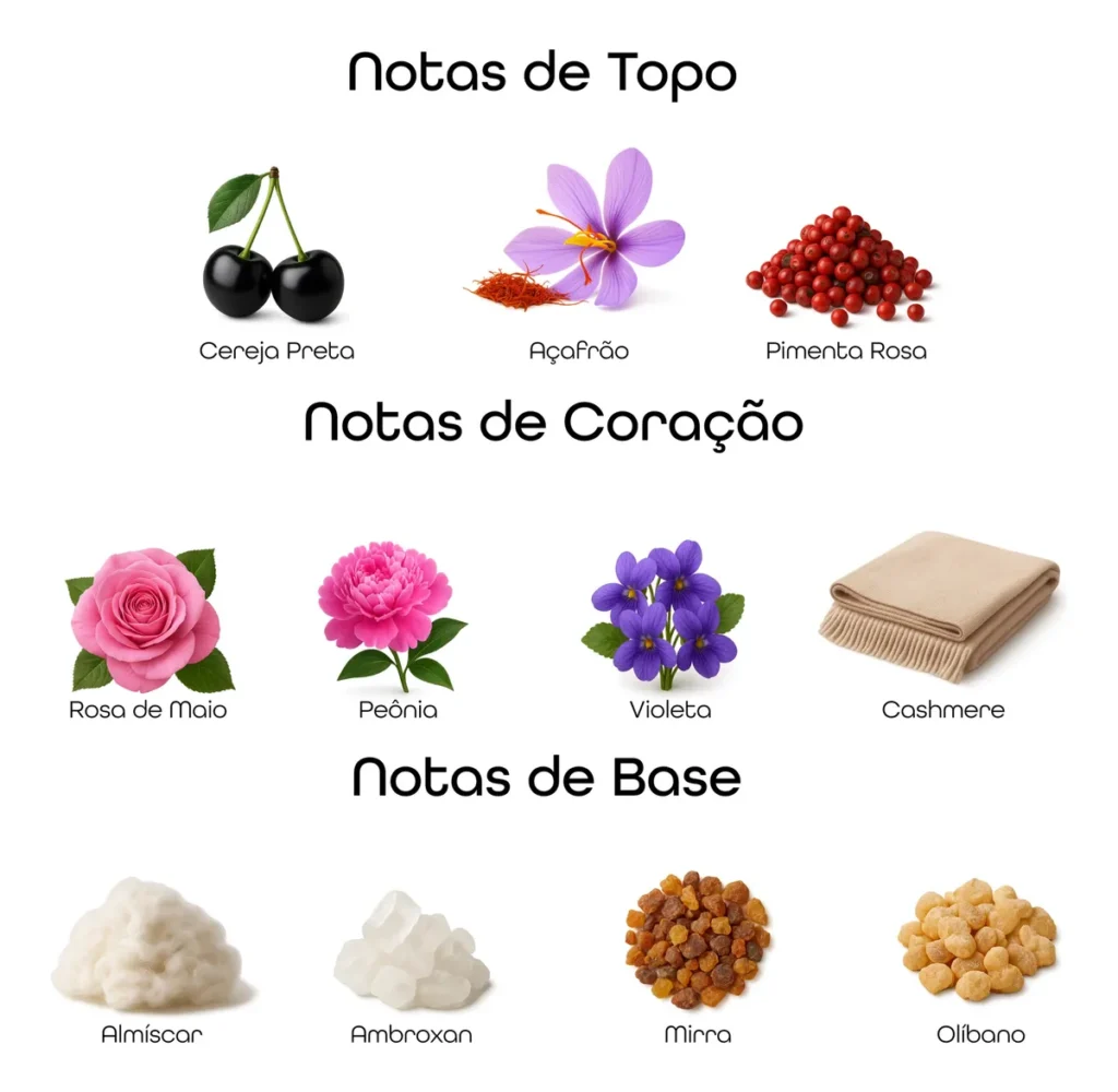 Pirâmide olfativa do perfume Carmina com notas de cereja preta, açafrão e pimenta rosa no topo, rosa de maio, peônia, violeta e cashmere no coração, e almíscar, ambroxan, mirra e olíbano na base