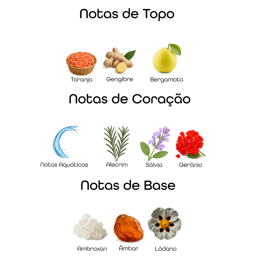 Imagem das notas do perfume Jean Lowe Immortal organizadas em topo, coração e base, com destaque para grapefruit, gengibre, notas aquáticas e âmbar, representando um perfume cítrico aromático fresco, elegante e moderno.