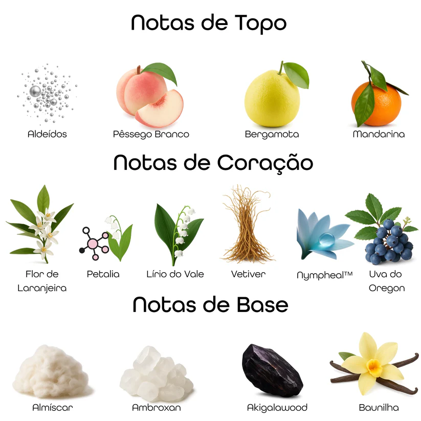 Imagem com notas olfativas do perfume divididas entre topo, coração e base, incluindo aldeídos, pêssego branco, bergamota, mandarina, flor de laranjeira, petalia, lírio do vale, vetiver, nympheal, uva do Oregon, almíscar, ambroxan, akigalawood e baunilha