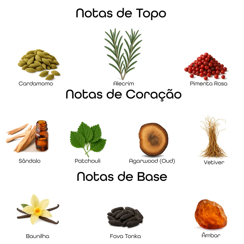 Imagem com notas olfativas do perfume divididas entre topo, coração e base, incluindo cardamomo, alecrim, pimenta rosa, sândalo, patchouli, agarwood oud, vetiver, baunilha, fava tonka e âmbar