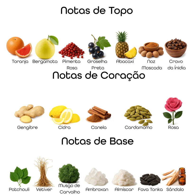 Imagem com notas olfativas do perfume divididas entre topo, coração e base, incluindo toranja, bergamota, pimenta rosa, groselha preta, abacaxi, noz moscada, cravo da índia, gengibre, cidra, canela, cardamomo, rosa, patchouli, vetiver, musgo de carvalho, ambroxan, almíscar, fava tonka e sândalo