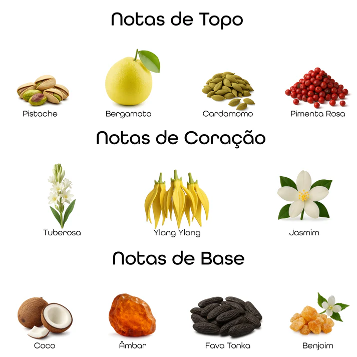 Imagem com notas olfativas do perfume divididas entre topo, coração e base, incluindo pistache, bergamota, cardamomo, pimenta rosa, tuberosa, ylang-ylang, jasmim, coco, âmbar, fava tonka e benjoim
