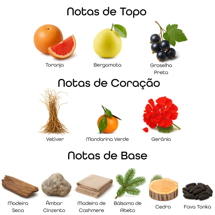 Imagem com notas olfativas do perfume divididas entre topo, coração e base, incluindo toranja, bergamota, groselha preta, vetiver, mandarina verde, gerânio, madeira seca, âmbar cinzento, madeira de cashmere, bálsamo de abeto, cedro e fava tonka