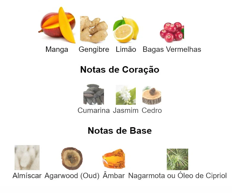Imagem com notas olfativas do perfume divididas entre topo, coração e base, incluindo manga, gengibre, limão, bagas vermelhas, cumarina, jasmim, cedro, almíscar, agarwood oud, âmbar e nagarmota óleo de cipriol