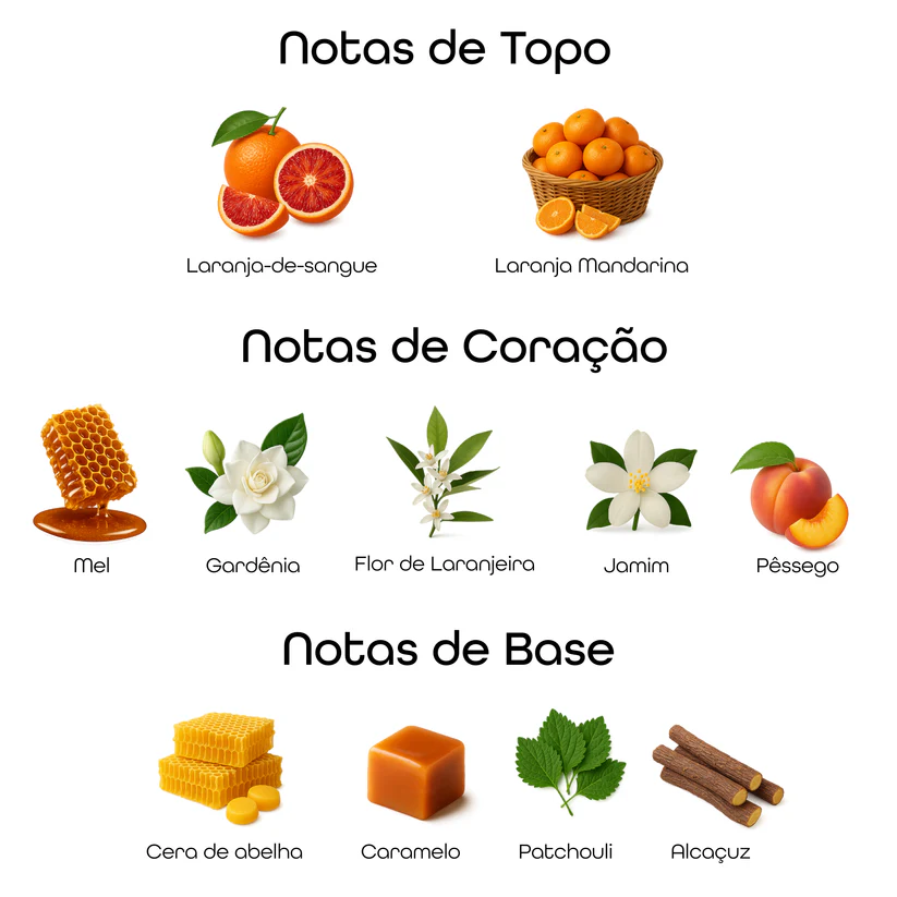 Imagem com notas olfativas do perfume divididas entre topo, coração e base, incluindo laranja-de-sangue, laranja mandarina, mel, gardênia, flor de laranjeira, jasmim, pêssego, cera de abelha, caramelo, patchouli e alcaçuz