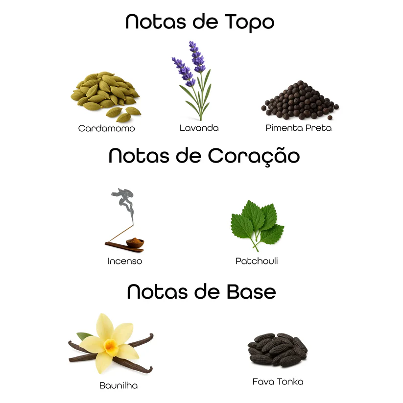 Imagem com notas olfativas do perfume divididas entre topo, coração e base, incluindo cardamomo, lavanda, pimenta preta, incenso, patchouli, baunilha e fava tonka