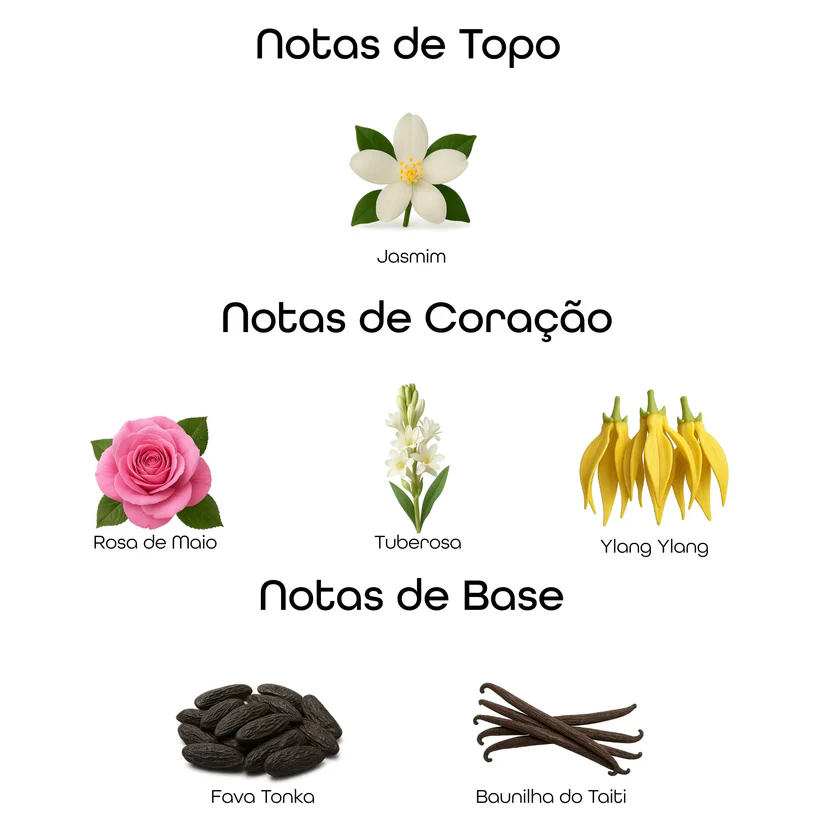 Imagem com notas olfativas do perfume divididas entre topo, coração e base, incluindo jasmim, rosa de maio, tuberosa, ylang ylang, fava tonka e baunilha do Taiti