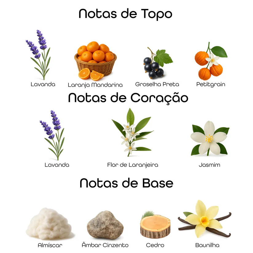 Imagem com notas olfativas do perfume divididas entre topo, coração e base, incluindo lavanda, laranja mandarina, groselha preta, petitgrain, flor de laranjeira, jasmim, almíscar, âmbar cinzento, cedro e baunilha