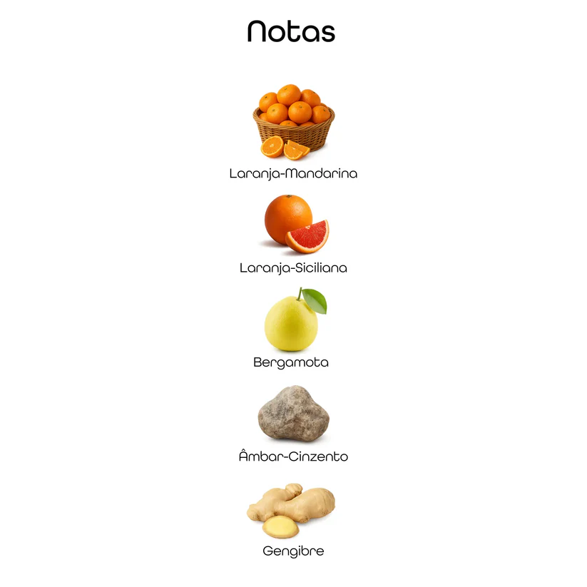 Imagem com notas olfativas do perfume incluindo laranja-mandarina, laranja-siciliana, bergamota, âmbar-cinzento e gengibre em fundo minimalista claro