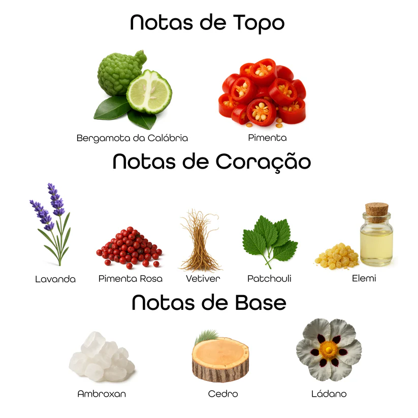 Imagem com notas olfativas do perfume divididas entre topo, coração e base, incluindo bergamota da Calábria, pimenta, lavanda, pimenta rosa, vetiver, patchouli, elemi, ambroxan, cedro e ládano